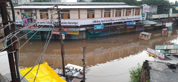 अतिवृष्टीमुळे सोलापूर जिल्ह्यात ९०५ कोटींचे नुकसान